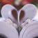 Comment choisir la parfaite invitation de mariage ?