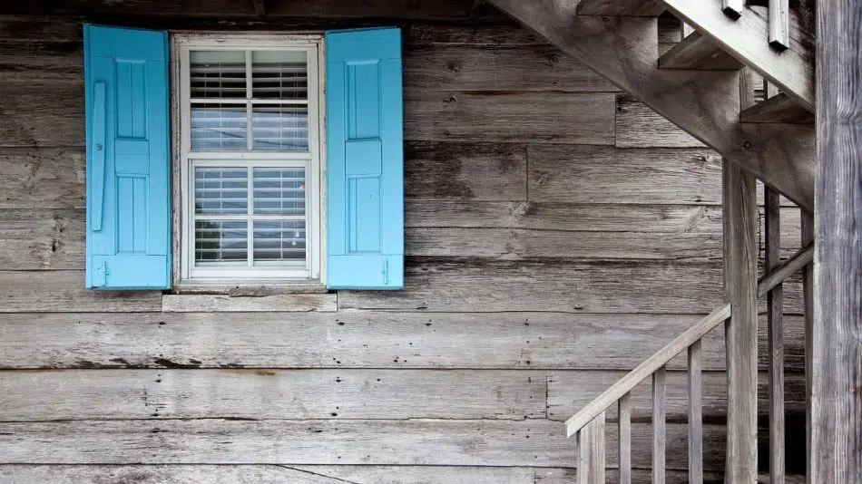 Construire une tiny house ossature bois : les points à prendre en compte