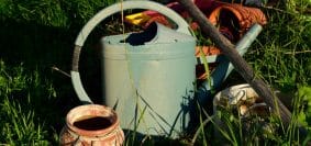 white and brown watering can on green grass